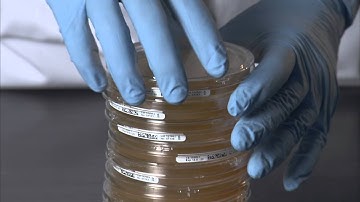 How to use the lockable ICRplus settle plate for air monitoring.