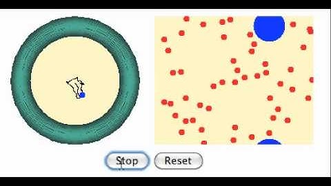 Diffusion Simulation.mov