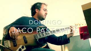 Miniatura del video "Domingo, Jaco Pastorius"