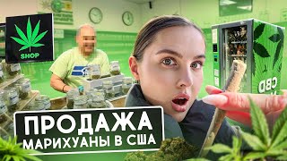 МАРИХУАНА В США: Легальный и чёрный рынок