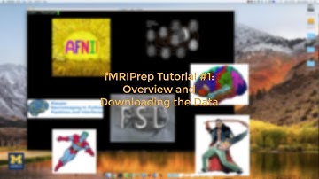 fMRIPrep Tutorial #1: Download & Install