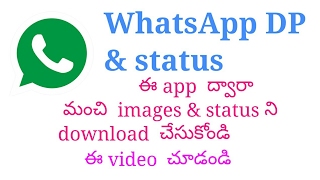WhatsApp DP and status screenshot 4