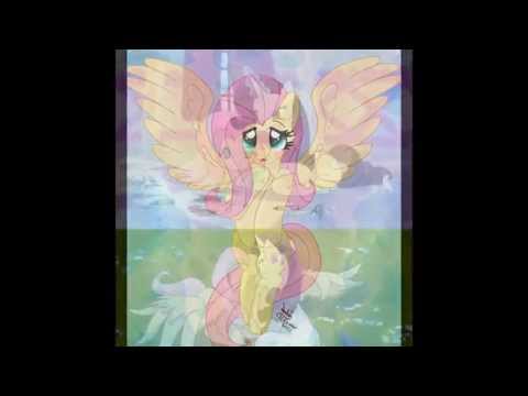 appleshy forever!