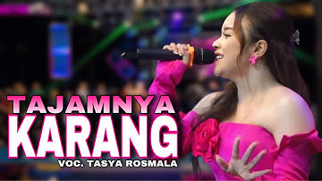 BERTABURAN UANG !! TASYA ROSMALA - TAJAMNYA KARANG | SELIYA MARSELLA GROUP