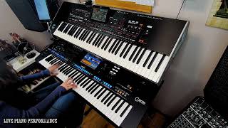 Beethowen  Fr Elise I  Piano Performance By Eliza