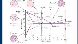 Lec 3d Ch 8 Phase Diagrams