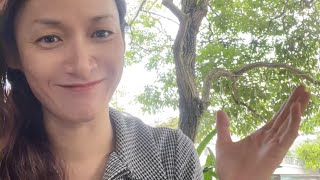 How to enjoy public speaking? by cynthia zhai 665 views 9 months ago 3 minutes, 3 seconds