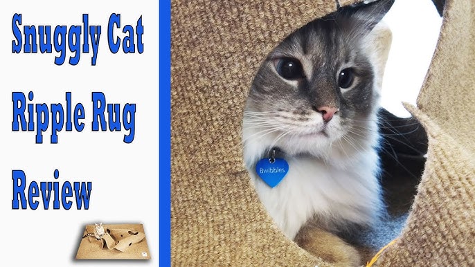 The Ripple Rug Cat Activity Mat - Interactive play with your cat