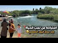 الطبيعة السورية بأجمل صورها عشنا يوم ريفي بامتياز رحلة ساحرة الى نهر العاصي 
