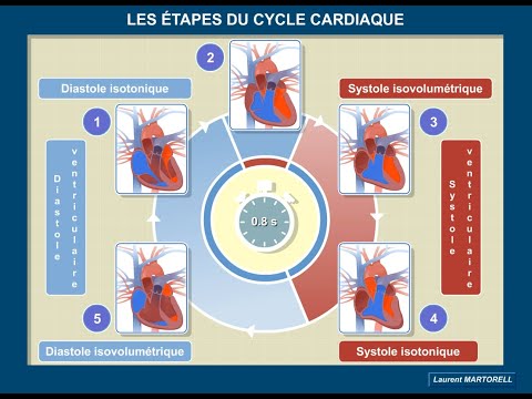 Vidéo: Pendant la phase d'éjection du cycle cardiaque ?
