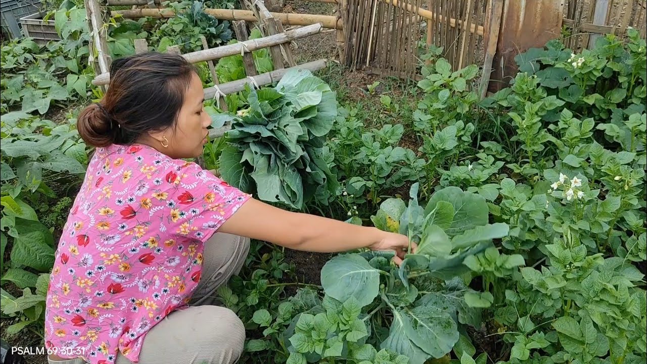 27 May 2025 JINGKAHME dia KIMMI hona anme lona