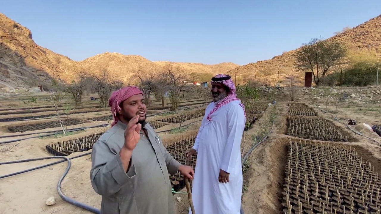 زيارة مزرعة الخبير الزراعي سلطان المالكي