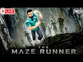Estoy solo en un Laberinto ENORME | Desafío Maze Runner 🔴