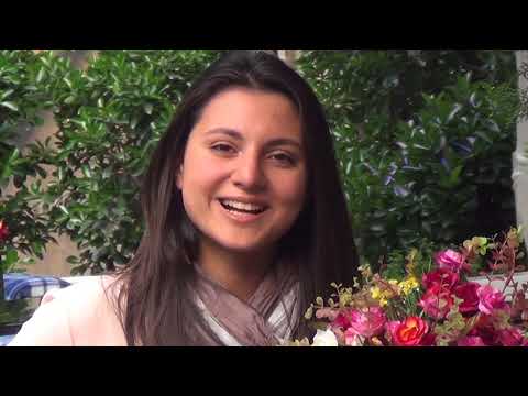 საიტისთვის საიმიჯო