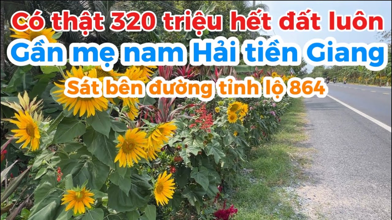 T.3226 quá trời rẻ luôn chỉ 320 triệu hết đất luôn gần đường tỉnh lộ 864 gần mẹ nam Hải tiền Giang 