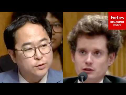 'Who Is Doing The Evaluating?': Andy Kim Asks Expert About Oversight Of Open Source AI Models