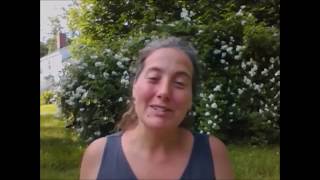 What I Love About Wpmu Dev