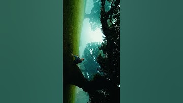 How to colorgrade like a pro ? Use this product ! 🖥️