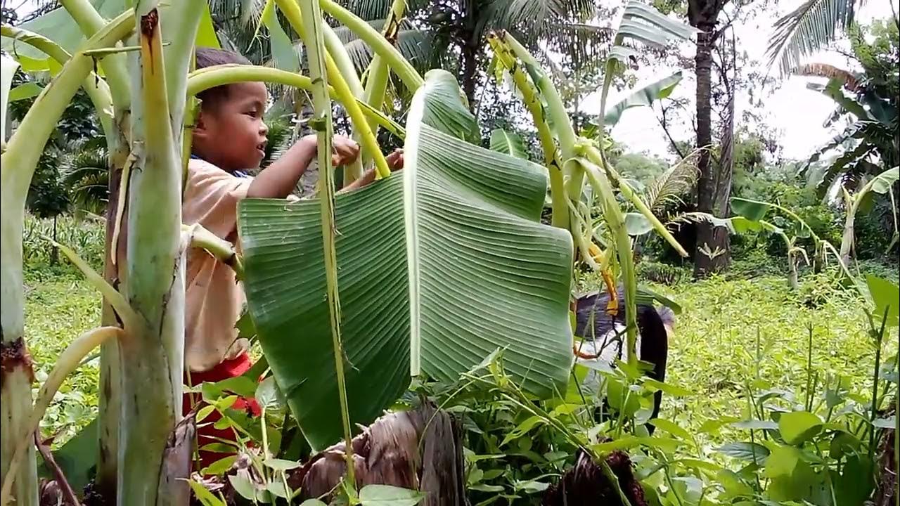 Why Won T My 3 Year Old Feed Himself Why Won T My 3 Year Old Feed Himself