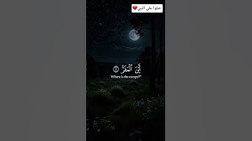 تلاوة هادئة ومريحه للقلب بصوت الشيخ ياسر الدوسري راحه نفسيه ❤️