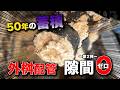 台所を流すと外から水があふれ出す！？築50年、屋外配管を埋め尽くした“油の塊”【花のお掃除 #542】