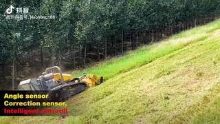 Player Profile HAOHONG smart tiger Remote control lawn mower