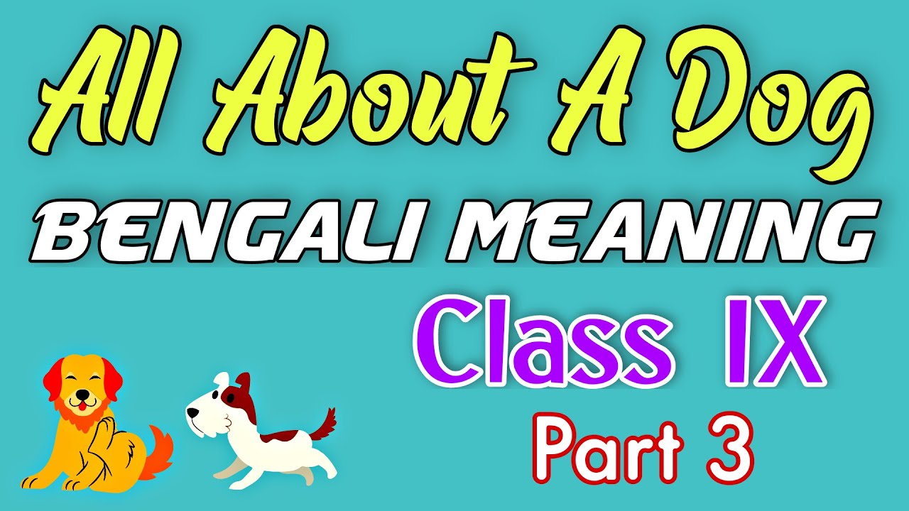 All About A Dog Bengali Meaning Part 3 Class 9 Bengali Meaning YouTube