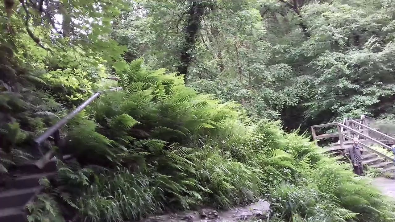 The white lady falls Lydford gorge   Lydford