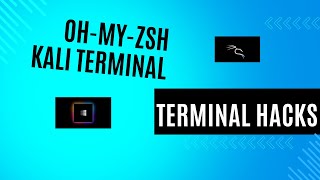 Make Your Kali Linux Terminal To A professional Hackish Look | Oh-My-Zsh Kali linux Terminal Hack
