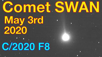 Comet Swan - May 3rd, 2020 (Guest Appearance by Yuko)