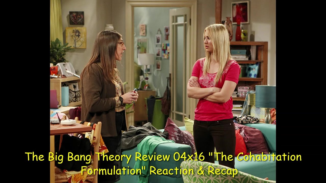 The Big Bang Theory 4 16 The Cohabitation Formulation Review