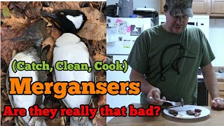 Catch, Clean, Cook Mergansers Are They Really That Bad? Net Worth