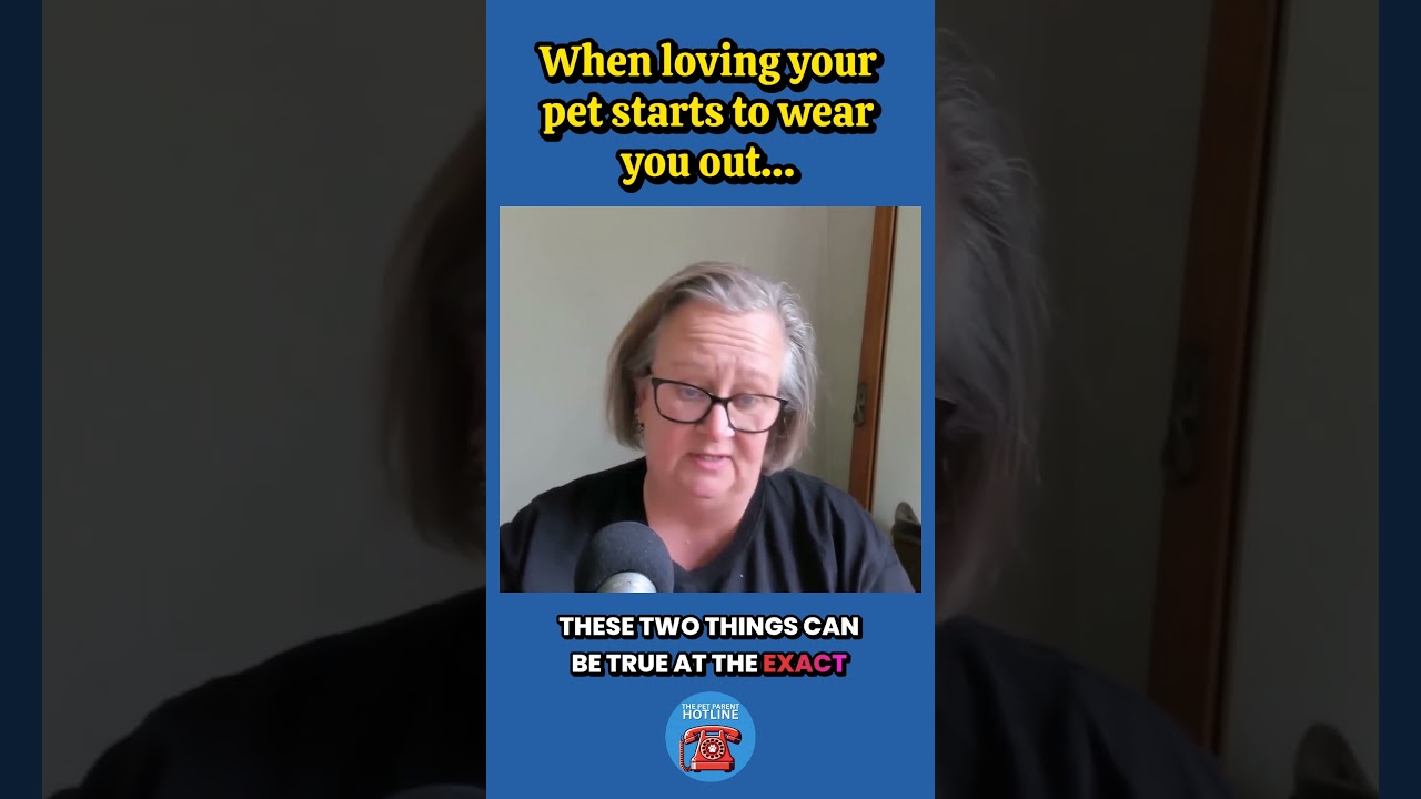 You Can Love Your Pet and Still Feel Overwhelmed