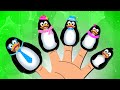 Penguin Finger Family + More 3D Nursery Rhymes and Kids Songs | Nursery Rhyme Street