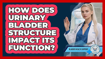 How Does Urinary Bladder Structure Impact Its Function? - Bladder Health Support