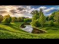 Vidradnyi Park Kyiv Walk 4K | Relaxing Music & Birds Singing | No Talking
