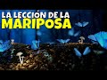 LA LECCIÓN DE LA MARIPOSA - REFLEXIÓN 🦋