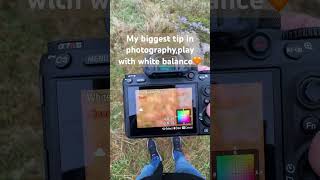 Sony A7R III, white balance sett-up