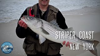 Striper on bucktail in rough surf