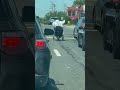 SHOCKING Video of Wheelchair 'Driving' at Same Speed as Cars #shorts