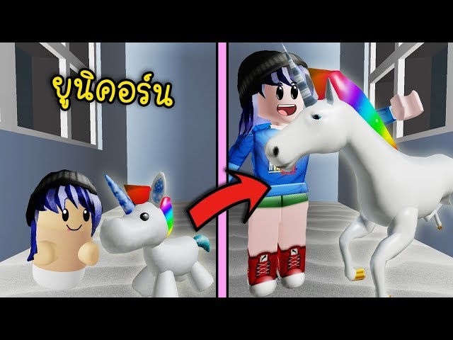 มสตวเลยงเปนมายนคอรน Roblox Unicorn Youtube - #U0e0a#U0e27#U0e15#U0e02#U0e2d#U0e07#U0e19#U0e32#U0e07#U0e1f#U0e32 roblox fairy cove