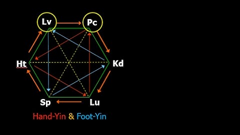 6-element acupuncture: Liver Meridian supports Pericardium Meridian