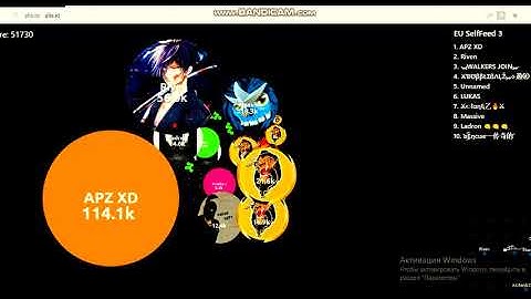 Best Moment Self Feed alis io