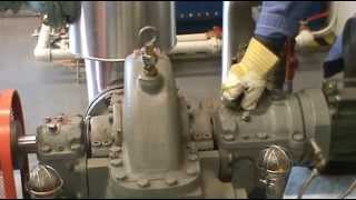 Steam Turbine Generator Start Up