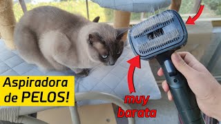Aspirador eléctrico de pelo de gato para mascotas, aspirador