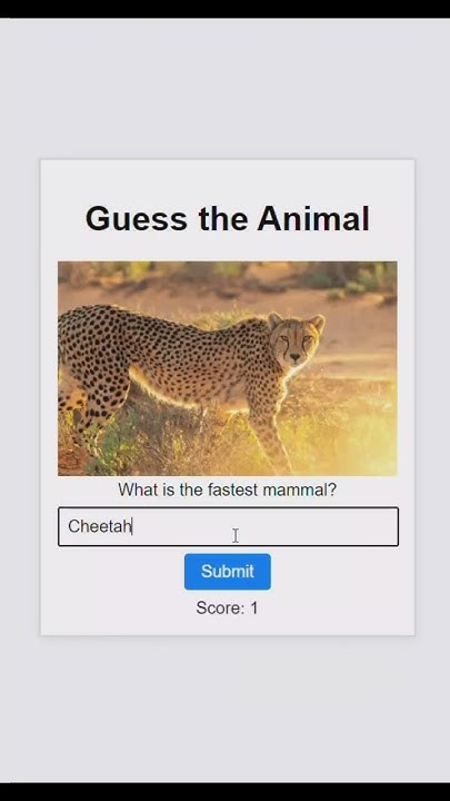 JavaScript Animal Quiz #javascript #javascriptquiz - YouTube