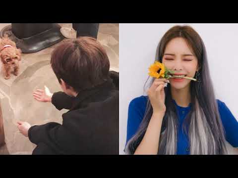 [everysing] 사랑이 뭔데