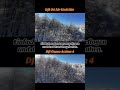 Der Winter in seiner vollen Pracht. Schnee überall, auch auf den Bäumen.#fpv #drohne #snow  #winter