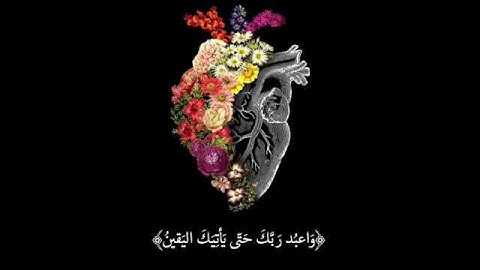 علاج الاكتئاب----قران كريم بصوت هزاع البلوشى_حالات واتس اب دينيه