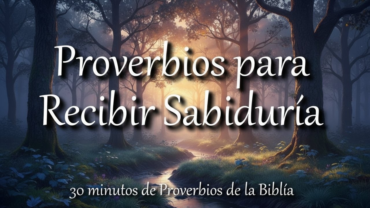 Proverbios para recibir sabiduría de parte de Dios | Biblia hablada | Proverbs in Spanish